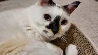 【いびき】起こされてびっくり