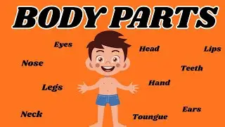Body Parts name |learn body parts name in english | body parts | sense #viral #preschoollearning 
