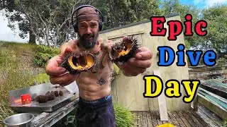 Epic Freediving & Spearfishing in New Zealand | Crayfish, Kina & Big Porae 