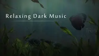 Relaxing Dark Music || tree videos
