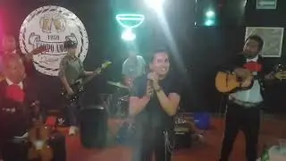 Alan Ali Under - Como quien pierde una estrella ft. Mariachi Perlar #alejandrofernandez #mariachi