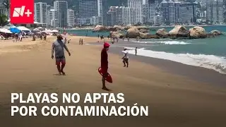 Vacaciones 2025: Playas no aptas para uso recreativo - Despierta