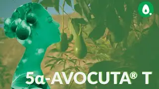 5&alpha;-AVOCUTA&reg; T, a skin & hair sebum regulator active ingredient