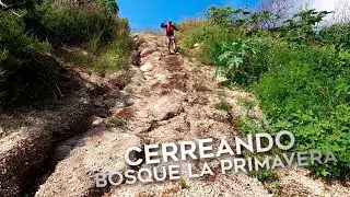 Trail Running en el Bosque La Primavera en Guadalajara