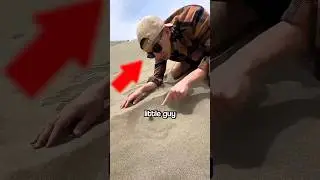 Natural Gas Discovery in Sand