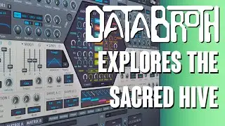 Exploring the HIVE