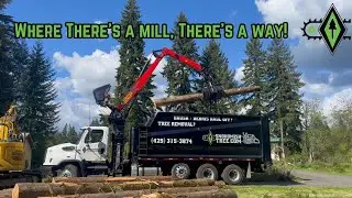 FROM JOB TO MILL - WHERE THERE'S A MILL, THERE'S A WAY!