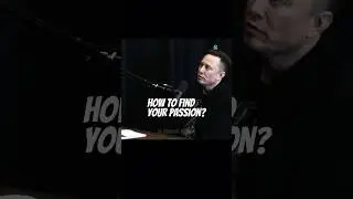 Elon Musk Explains How to Find What You Love