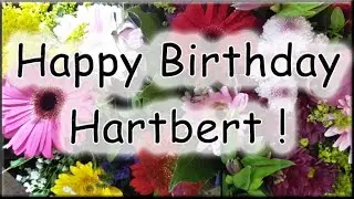 Happy Birthday Hartbert! Alles Gute zum Geburtstag!