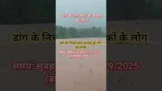 डांग की सभी नदियों का जलस्तर बढ़ रहा है। #dang #dangdistrict #news #shortsfeed #shortsvideo