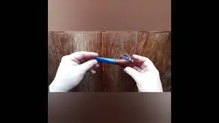 Wicked Sparrow 