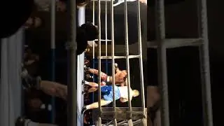 Daniel Vencl Galavečer - FINAL FIGHT