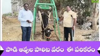 పాడి రైతుల వద్ద ఇ పరికరం వుంటె నో టెన్షన్ 