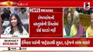 Union Budget 2026 | બજેટ 2026   રોજબરોજની વસ્તુઓની કિંમતોમાં કોઈ ઘટાડો નહીં | Nirmala Sitharaman