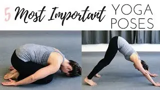 Most Important Yoga Poses | Top 5 Beginners Yoga Poses | Yoga Asana | ChriskaYoga