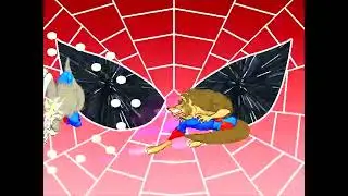 Spider wolf