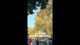 Vlog du lịch Bắc Kinh - Thượng Hải 2025