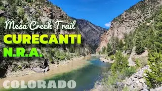 Mesa Creek Trail: Curecanti National Recreation Area