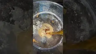 35g protein easy