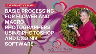 USING NIK COLOUR EFEX IN FLOWER PHOTOGRAPHY &ndash; THE BASICS STEP BY STEP