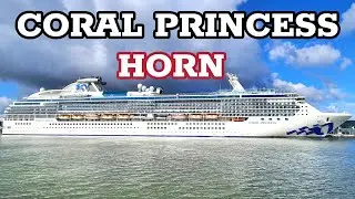 CORAL PRINCESS - HORN