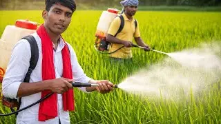 FARMERS AT WORK | SAFE PESTICIDE SPRAYING METHOD