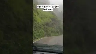 Jim Corbett National Park | Forest | Monsoon #shorts #relatable #wildlife #animals #travel #nature