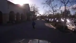 FLIR visible daytime driving