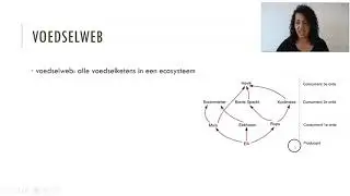 Voedselketens en voedselwebben