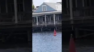 gose on land and water car boat