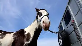 Barn vlog // Wild & Fun Spring Day