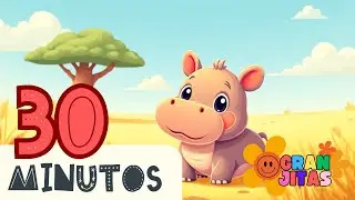 🎶🐾 Canciones Infantiles: Hipo el Hipopótamo | Música Infantil Educativa
