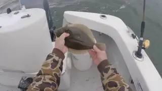 #Repost IO Pro-Staffer-- Rich Figlia Spring Flounder 2017 HD