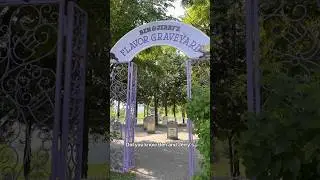 Visit the iconic ​⁠@benandjerrys Flavor Graveyard 🍦