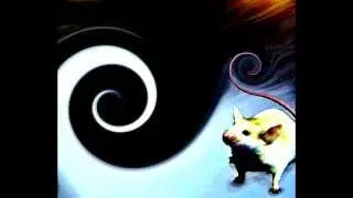 D. Hyphae - Run For Cover Little Mouse!