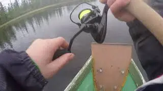 Viime kes&auml;n virveli kalastus video | vesienkuningas |