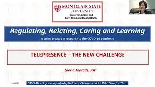 Telepresence - The New Challenge