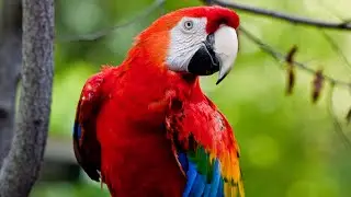 Visiting Animals in Toronto Zoo | Toronto | Ontario | Canada 2015