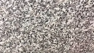 Chinese Rosa Beta G623 White Granite Slab Countertop Wall Floor Panel Stair From Tingida Stone