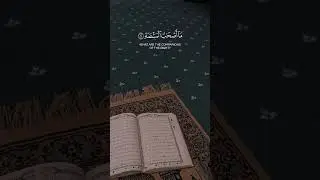 Dil Ko Chhoo Lenay Wali Khoobsurat Ayat | Beautiful Quran Ayah.