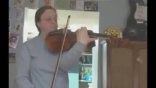 Big Fat 5 string viola