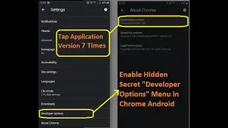 Enable Hidden Secret Developer Options Menu in Chrome Android