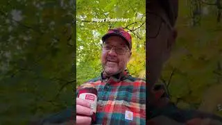 Happy #plaidurday2022 #stormykromerplaidurday #StormyKromer #sklovesplaid #carhartt