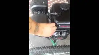 Gas 3 wheel bike