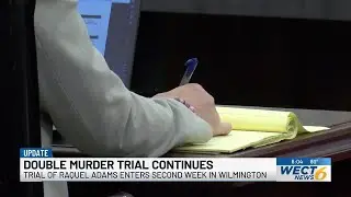 High-profile Wilmington double murder trial continues