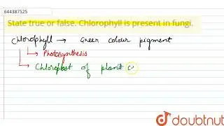 State true or false. Chlorophyll is present in fungi. | 12 | TEST 5 | BIOLOGY | AAKASH INSTITUTE...
