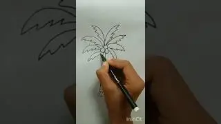 Coconut Tree Drawing 🌴🌴 #coconut  #tree  #drawing  #art  #shorts