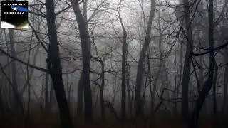 DARK TENSION RISING  Download and Royalty FREE