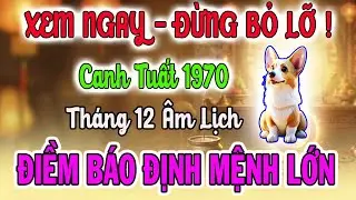 Tử Vi Tuổi Canh Tuất 1970: Điềm Báo Định Mệnh Sắp Xảy Ra, 8 Bí Mật Để Giàu Sang, Ăn Tết Lớn Nhất Đời