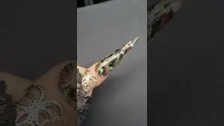 Acryl Nails Step by Step